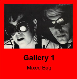 Gallery 1 - Mixed Bag