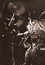 29 Agent Orange 1995